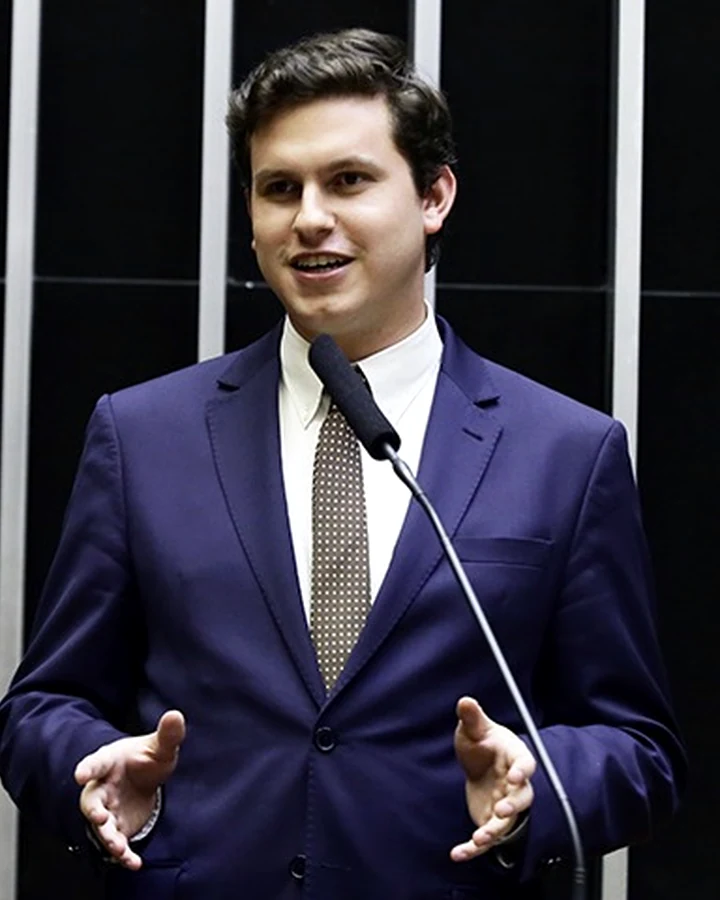 Registro profissional em ambiente político